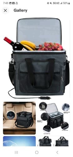 Yapaspt Electric Car Cooler Bag Plug in 12v DC Gray (Not a Fridge) - Image 1