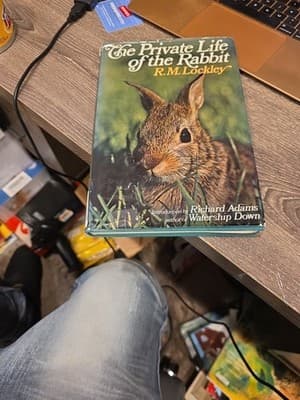 The Private Life of the Rabbit 1974 R. M. Lockley, Hardcover VG (567) - Image 1