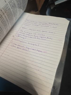Lange Q&A Surgical Technology Examination, Eighth Edition by Mary Chmielewski - Thumbnail 3