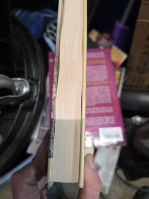 Thomas Pynchon- Vineland- 1st Ed (1990) Hardcover w Dust Jacket - Thumbnail 3