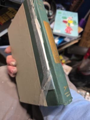 Chestnut Street by Maeve Binchy (2014, Hardcover) 1st Edition Very Good - Thumbnail 3