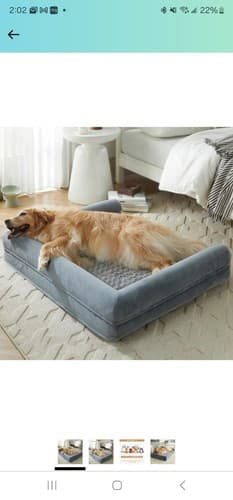 LNSSFFER Jumbo Plus Orthopedic Dog Bed Great Dane Beds for Giant Dogs Memory ... - Image 1