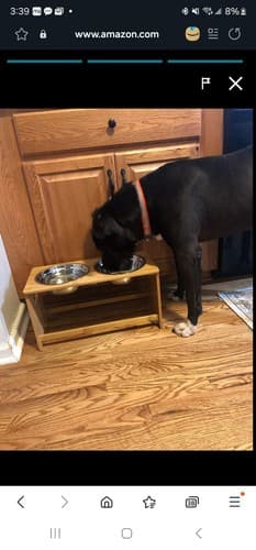 Elevated Dog Bowls Wood Raised Bowl Stand with 2 Stainless Steel Bowls Open Box - Image 1