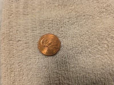 2019 No Mint Mark Lincoln Shield Penny Double Dise Reverse Rare Us Coin - Thumbnail 2