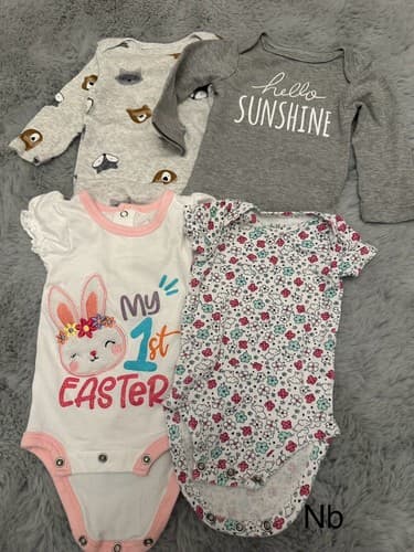 Baby Girl Lot Of 4 Clothes One Piece Bodysuit Long And Short Sleeve Newborn - Image 1