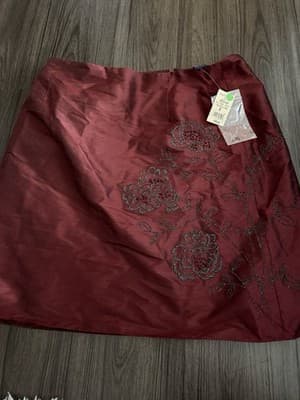 Ann Taylor Women’s Mini Skirt Size 8 NWT Red - Image 1