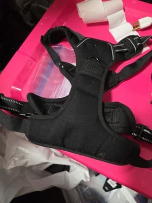 Rabbitgoo Dog Harness No-Pull Pet Harness with 2 Leash Clips, XL Black - Thumbnail 3