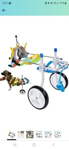 HobeyHove Size Small Adjustable Dog/Pet Wheelchair/Cart Hind Legs, PW-AB-S - Image 1