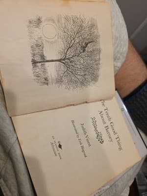 The Tenth Good Thing About Barney by Viorst, Judith 1971 First Aladdin Edition - Thumbnail 2