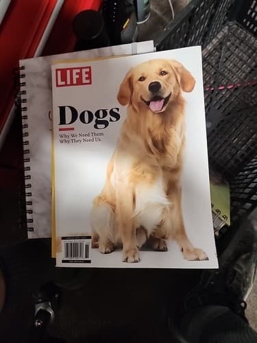Life Magazine Dogs Why We Need Them Why They Need Us 2023 - Image 1