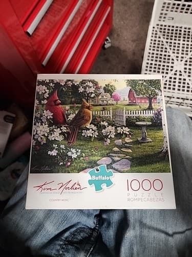 Buffalo 1000 Piece Puzzle 26 x 19 IN - Country Music by Kim Norlien - Birds - Image 1