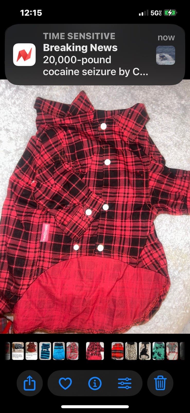 $200 Value + ON SALE NOW DOGGY BOX (DOG &CAT ) MIX Or pick separately if needed - Thumbnail 6
