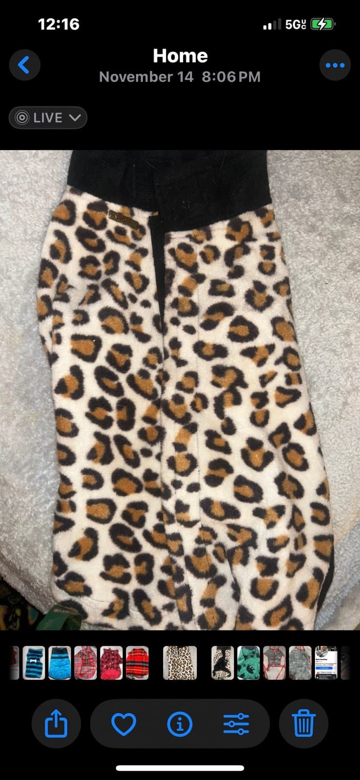 $200 Value + ON SALE NOW DOGGY BOX (DOG &CAT ) MIX Or pick separately if needed - Thumbnail 3
