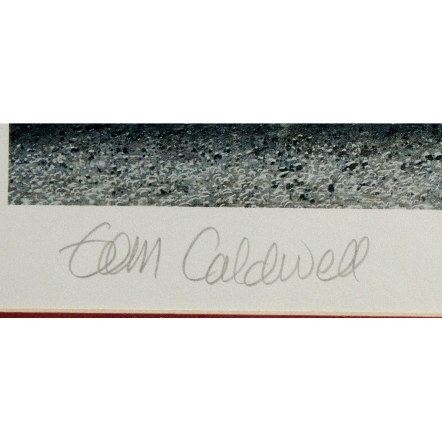 Signed Limited Edition Print "The Garden" by Tom Caldwell - Thumbnail 4