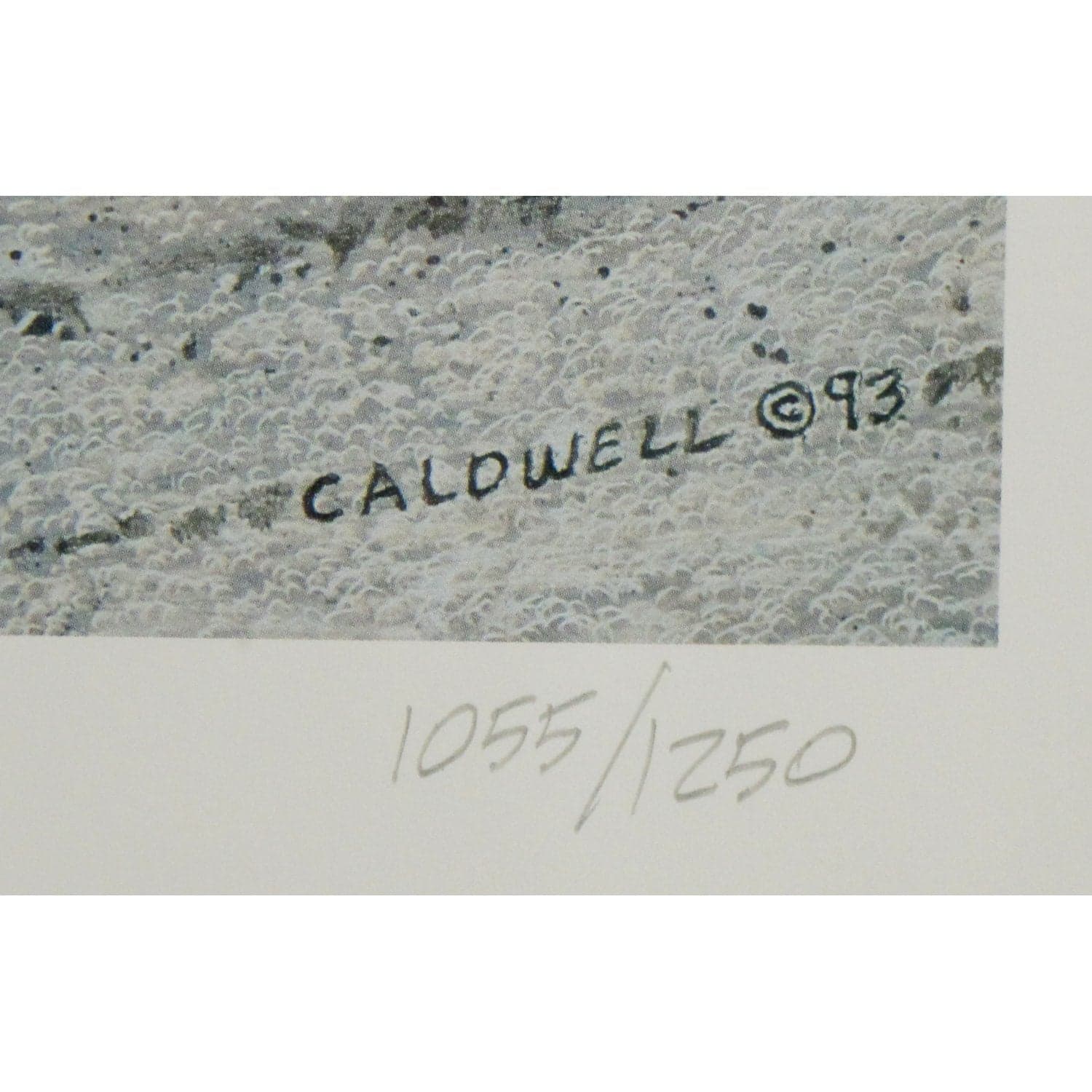 Signed Limited Edition Print "The Garden" by Tom Caldwell - Thumbnail 6