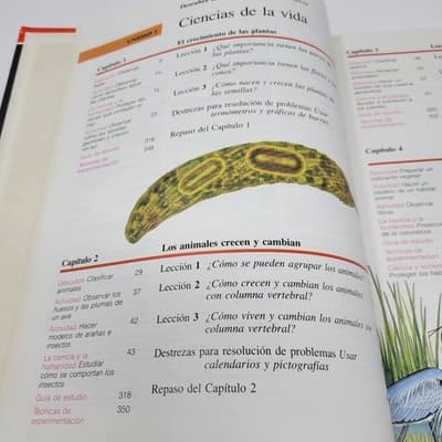 Descubre Las Ciencias Scott Foresman Texas Edition 1991 Spanish Science Textbook - Thumbnail 11