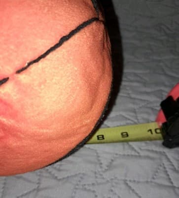 LeBron James Space Jam A New Legacy Tune Squad Plush Converts to Basketball - Thumbnail 14