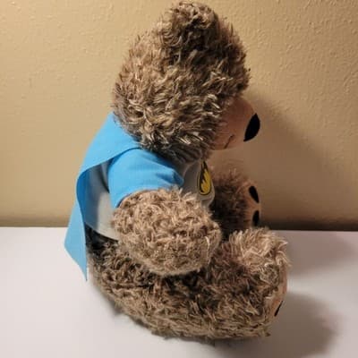 DC Comics Originals TEDDY BEAR IN BATMAN SHIRT 13" Plush STUFFED ANIMAL Toy - Thumbnail 5