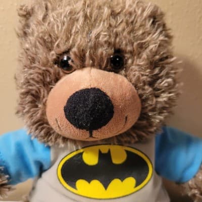 DC Comics Originals TEDDY BEAR IN BATMAN SHIRT 13" Plush STUFFED ANIMAL Toy - Thumbnail 3