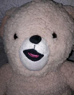 Snuggle Fabric Softener Bear Plush Stuffed Animal New England 15”NWOT - Thumbnail 3
