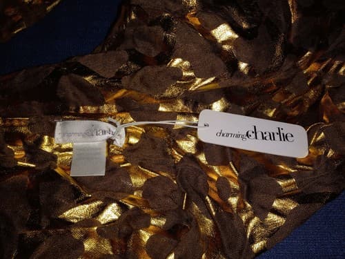 Charming Charlie Polyester Infinity Scarf Animal Print Gold & Brown - Image 1