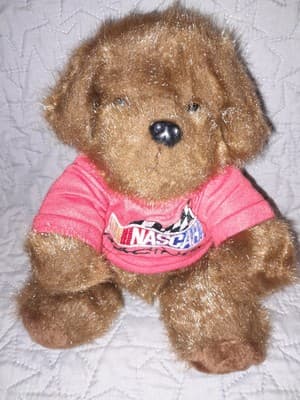 Nascar Brown Teddy Bear 9" In a Red NASCAR RACING T-shirt Souvenir - Image 1