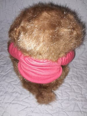 Nascar Brown Teddy Bear 9" In a Red NASCAR RACING T-shirt Souvenir - Thumbnail 2