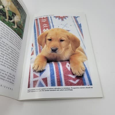 Labrador Retrievers by Diane McCarty Training Care History Health Grooming Dog - Thumbnail 2