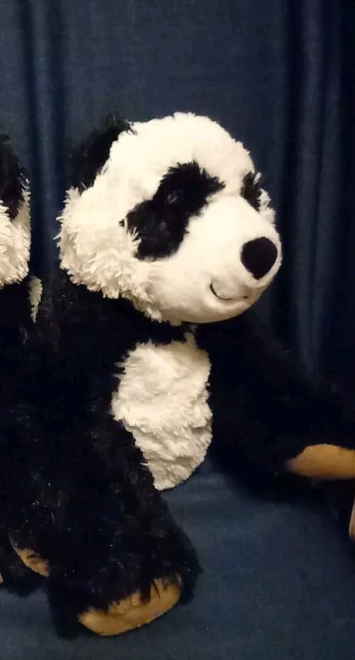 Panda Pawsome Brown Paws Hard Eyes Plush Toy 15” Build A Bear BAB BABW - Thumbnail 3