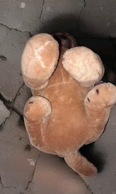 Melissa and Doug 18" Large Life-like Realistic Pug Plush Animal Toy Pug #2125 - Thumbnail 5
