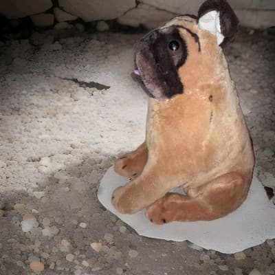 Melissa and Doug 18" Large Life-like Realistic Pug Plush Animal Toy Pug #2125 - Thumbnail 2