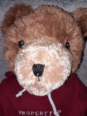 20" NFL Plush Bear Kansas City Chiefs Property of the Chiefs XXL Red Hoodie NWT - Thumbnail 6