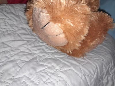 20" NFL Plush Bear Kansas City Chiefs Property of the Chiefs XXL Red Hoodie NWT - Thumbnail 15