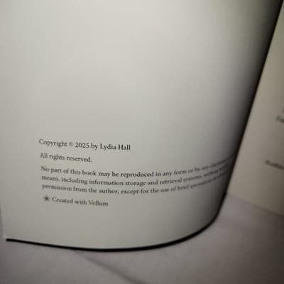 Silver Fox’s Twin Surprise Lydia Hall 2025 Paperback Romance Novel - Thumbnail 5