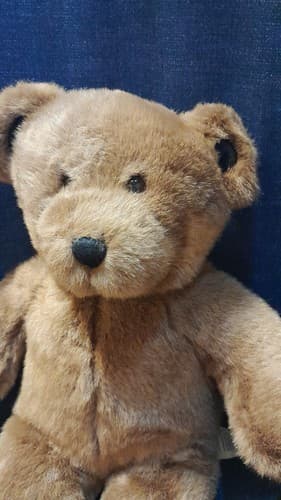Build A Bear BAB Brown Bear 14" Plush Stuffed Animal Toy - Thumbnail 5