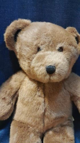 Build A Bear BAB Brown Bear 14" Plush Stuffed Animal Toy - Thumbnail 4