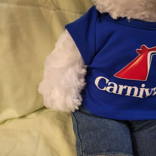 Carnival Cruise Build-A-Bear Plush Teddy Bear White 17" Blue Shirt Jeans Logo - Thumbnail 6