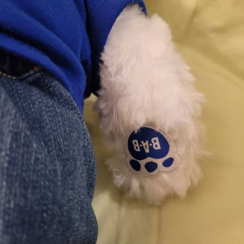 Carnival Cruise Build-A-Bear Plush Teddy Bear White 17" Blue Shirt Jeans Logo - Thumbnail 8