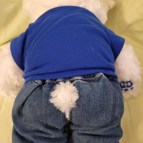 Carnival Cruise Build-A-Bear Plush Teddy Bear White 17" Blue Shirt Jeans Logo - Thumbnail 13