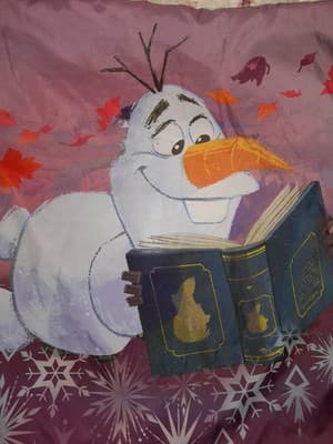 Disney Frozen 2 Olfa Reading A Book Kids Sham Only Twin/Full - Image 1