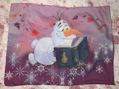 Disney Frozen 2 Olfa Reading A Book Kids Sham Only Twin/Full - Thumbnail 3