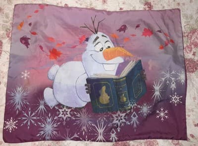 Disney Frozen 2 Olfa Reading A Book Kids Sham Only Twin/Full - Thumbnail 2