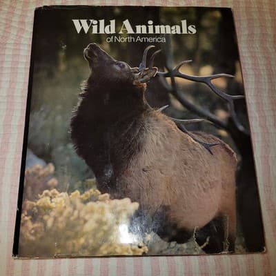 Wild Animals of North America – National Geographic Society (1987, Hardcover) - Image 1