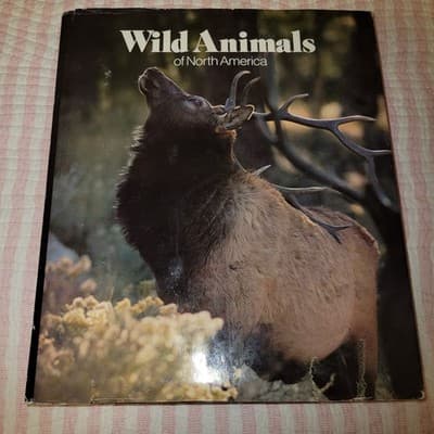 Wild Animals of North America – National Geographic Society (1987, Hardcover) - Thumbnail 2