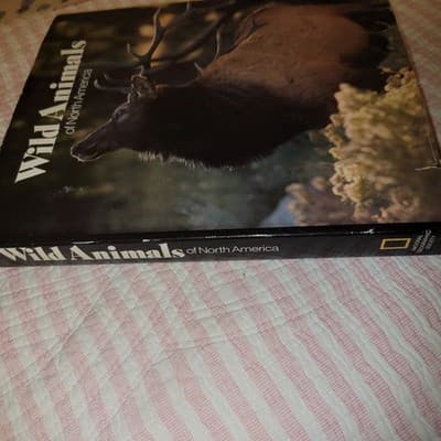 Wild Animals of North America – National Geographic Society (1987, Hardcover) - Thumbnail 7
