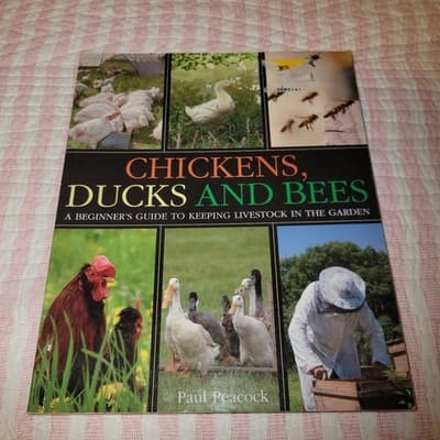 Chickens, Ducks and Bees: A Beginner’s Guide to Keeping Livestock in the Garden - Image 1