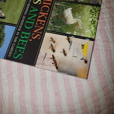 Chickens, Ducks and Bees: A Beginner’s Guide to Keeping Livestock in the Garden - Thumbnail 6