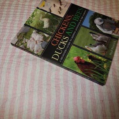 Chickens, Ducks and Bees: A Beginner’s Guide to Keeping Livestock in the Garden - Thumbnail 4
