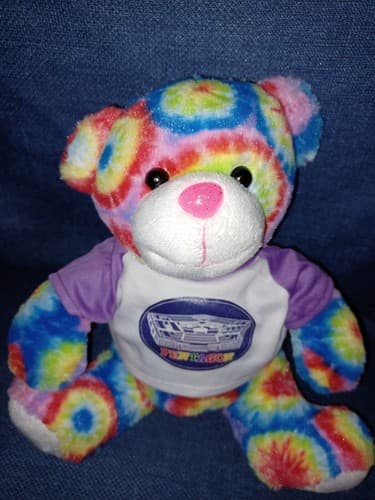 Pentagon Memorabilia Rainbow Tie Dye Plush 8" Bear Adorable Rare - Thumbnail 3