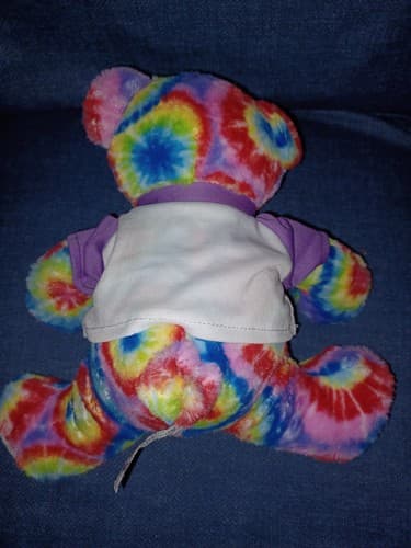 Pentagon Memorabilia Rainbow Tie Dye Plush 8" Bear Adorable Rare - Thumbnail 4